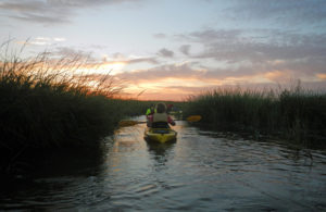 A small goup of kayakers goes down a path in wetlands grass on both sides with a sunset sky.