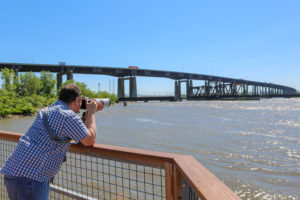 Laurel Hill County Park in Secaucus New Jersey. A man who is taking a picture of the Meadowlands wildlife while overlooking an overpass bridge.
