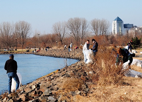 volunteers cleaning up shoreline