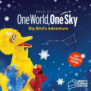 one world one sky big bird's adventure