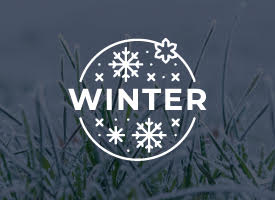 Winter Featured Image