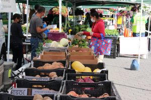 People shopping at the Jersey City farmers market