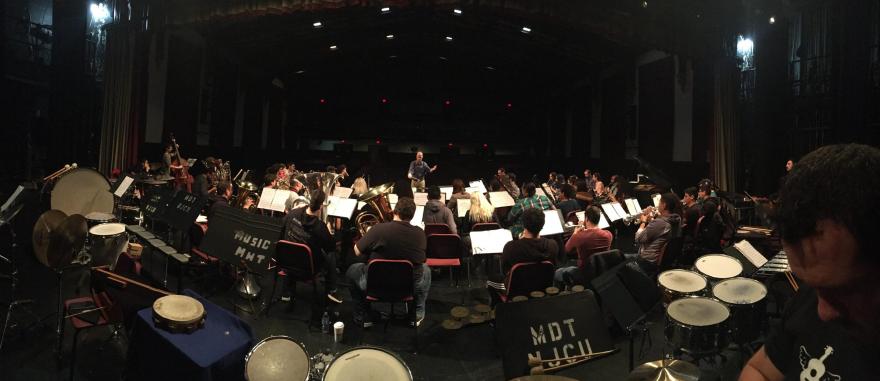 Orchestra rehearsing