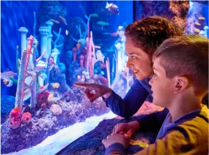 Image of woman and boy looking at fish at aquarium