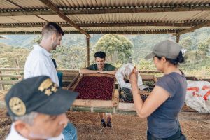 group of people inspecting coffee beans