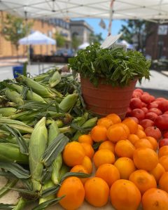 Photo of a potted plant surrounded by piles of fruit and corn