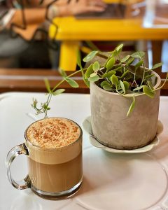 potted plant and a latte in a glass mug