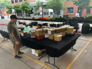 Man browsing table of containers at farmers market