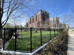 Apartment buildings overlooking Maxwell Place Park