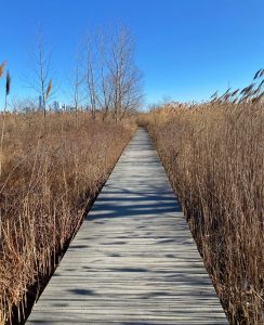 Caven Point boardwalk trail