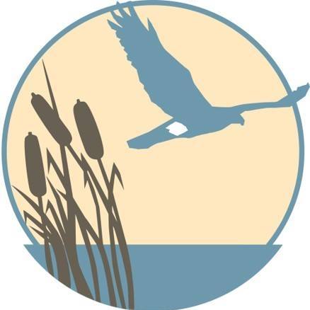 World Series of Birding Logo