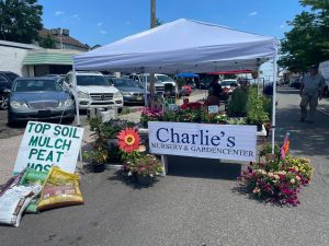 Flowers and plants for sale at Kearny Farmer's Market