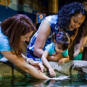2 women and a child at Sea Life Aquarium 