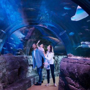 family at Sea Life Aquarium